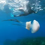 Vientos Y Mares * Αλμερία