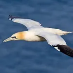 Vientos Y Mares Διαμέρισμα