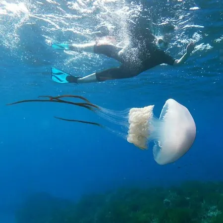 Vientos Y Mares * Almeria