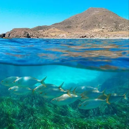 Vientos Y Mares Apartment