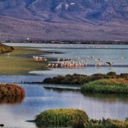 Vientos Y Mares Almeria
