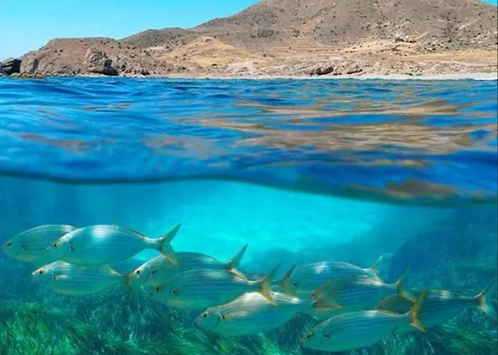 Vientos Y Mares アパート